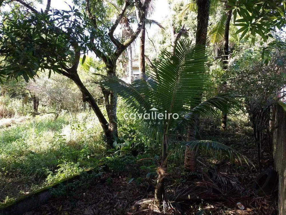 Casa, 4 quartos, 276 m² - Foto 27