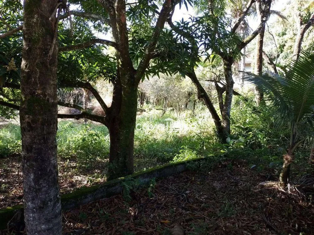 Casa, 4 quartos, 276 m² - Foto 30