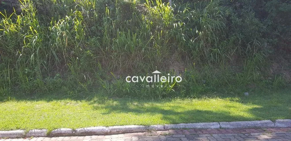 Loteamento e Condomínio, 360 m² - Foto 4