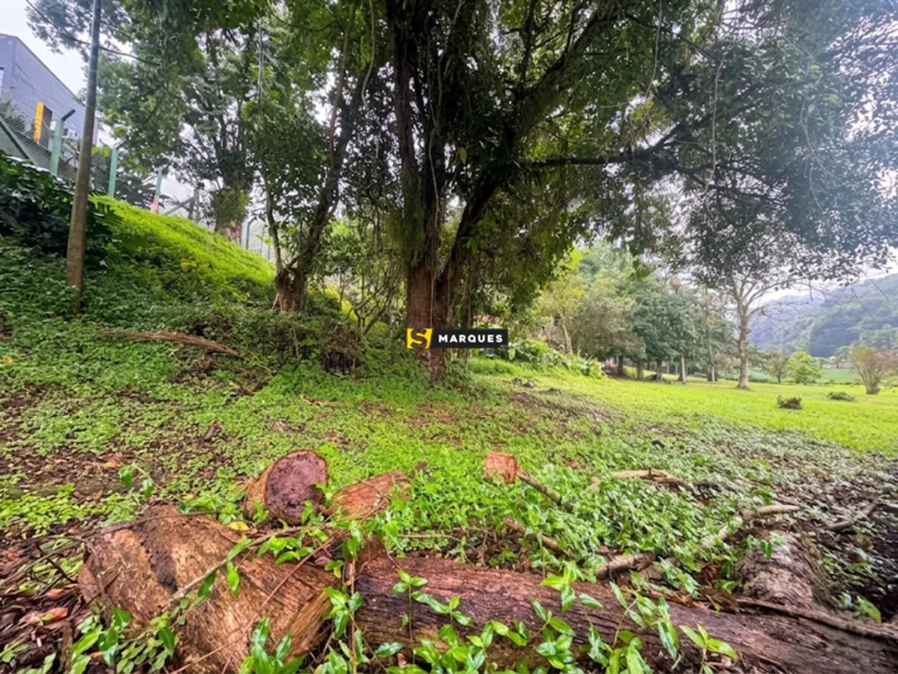 Terreno, 3000 m² - Foto 5