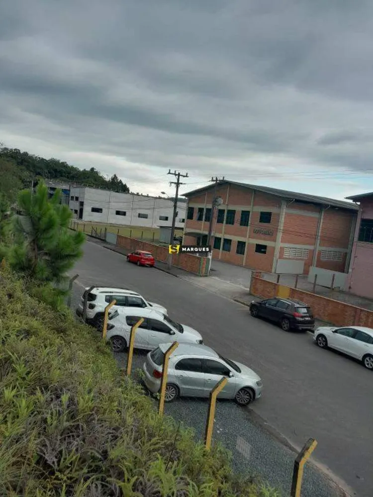 Terreno, 4200 m² - Foto 6