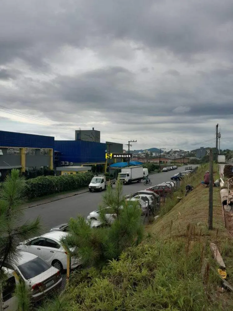 Terreno, 4200 m² - Foto 7