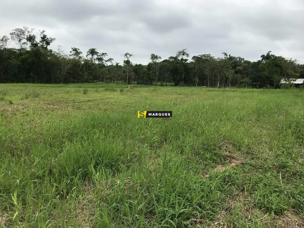 Chácara, 2 quartos, 2 hectares - Foto 14