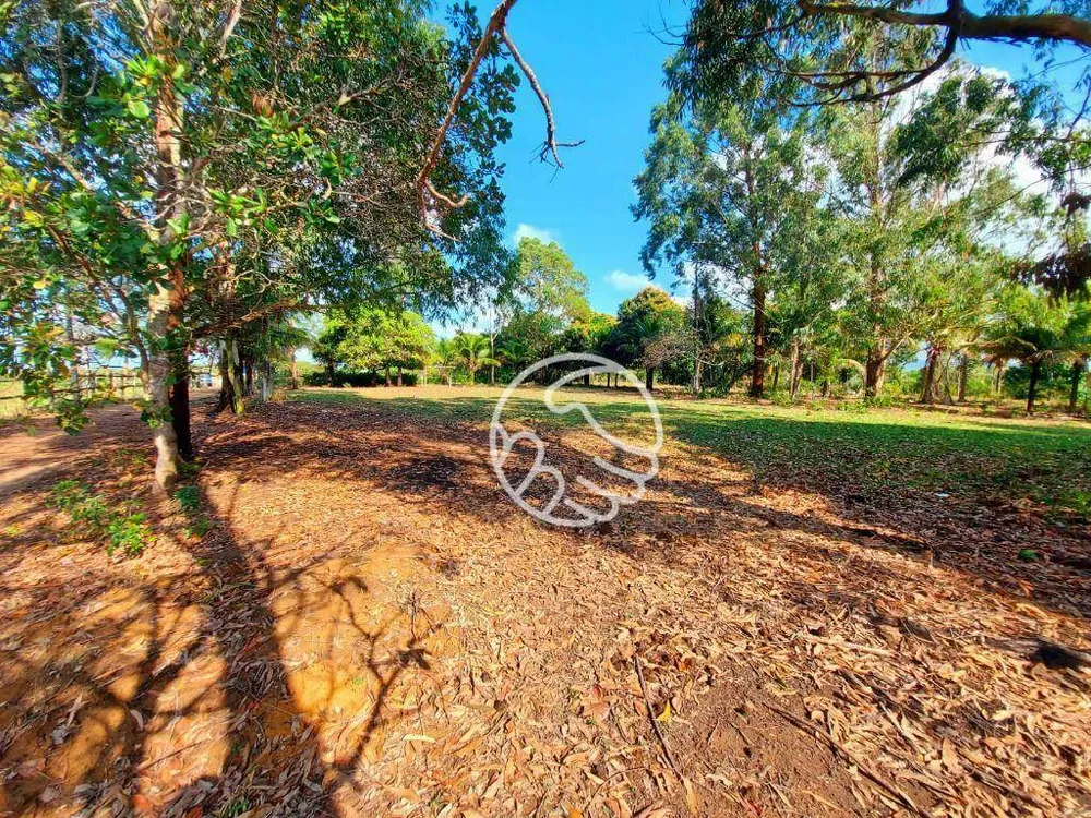 Terreno, 5 hectares - Foto 6
