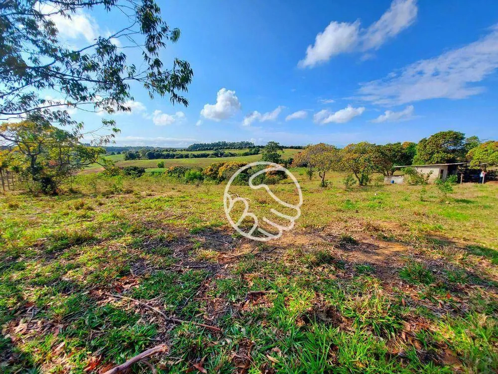 Terreno, 5 hectares - Foto 4