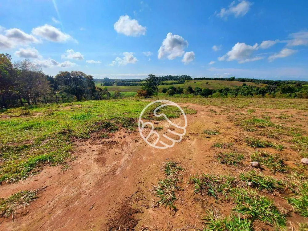 Terreno, 5 hectares - Foto 8