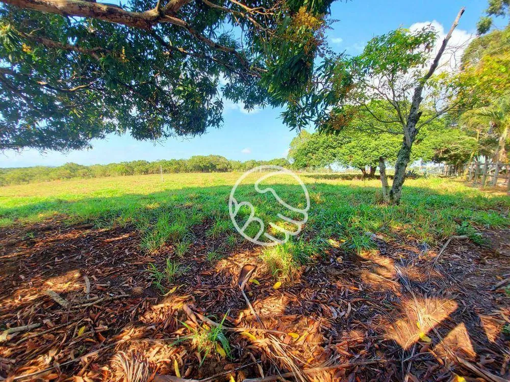 Terreno, 5 hectares - Foto 7
