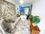 Apartamento, 3 quartos, 158 m² - Foto 1