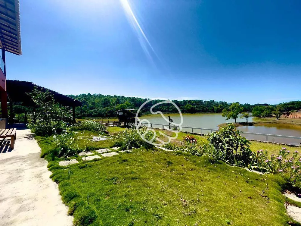 Terreno, 10 hectares - Foto 4