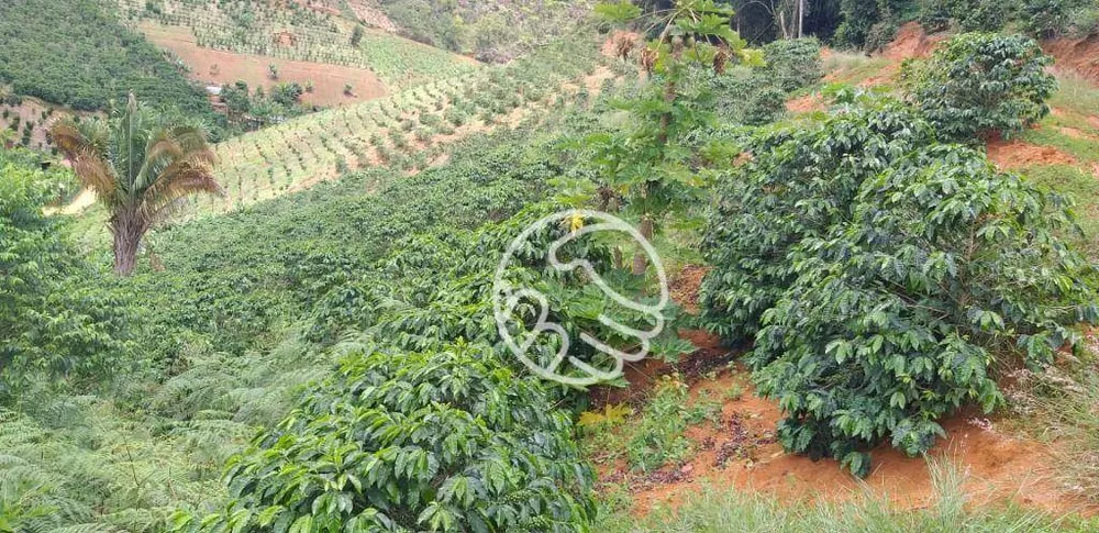 Terreno, 11 hectares - Foto 3