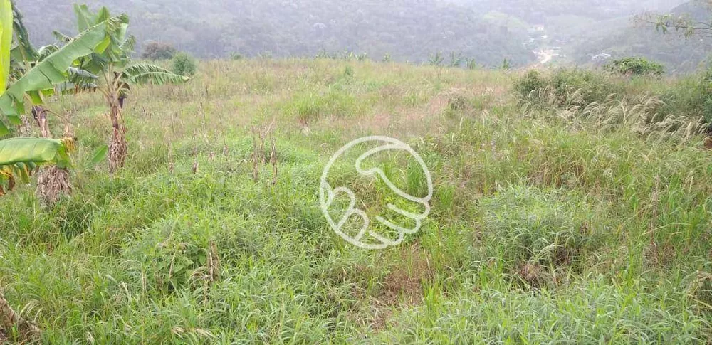 Terreno, 11 hectares - Foto 2
