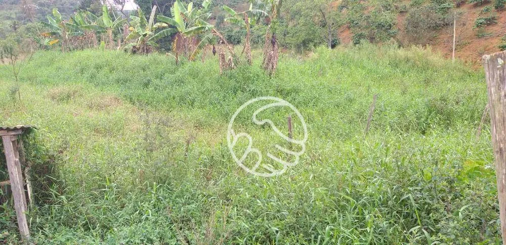 Terreno, 11 hectares - Foto 12