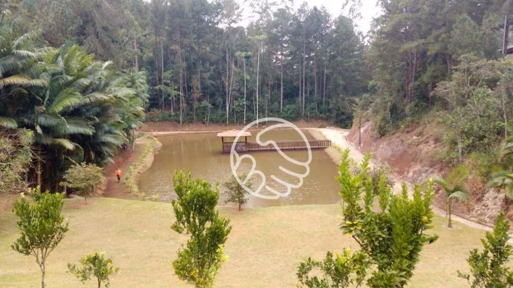 Sítio, 4 quartos, 1000 m² - Foto 1