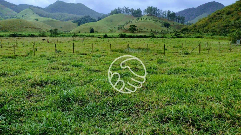 Sítio, 2 quartos, 8300 m² - Foto 1