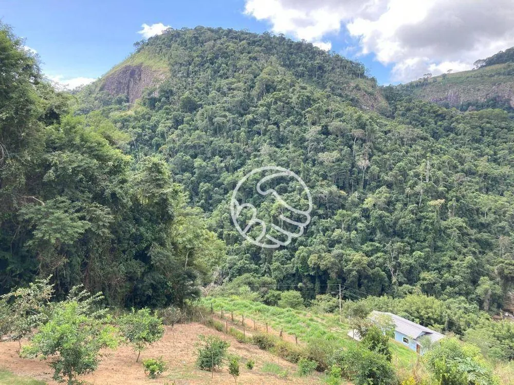 Chácara, 3 quartos, 6000 m² - Foto 1