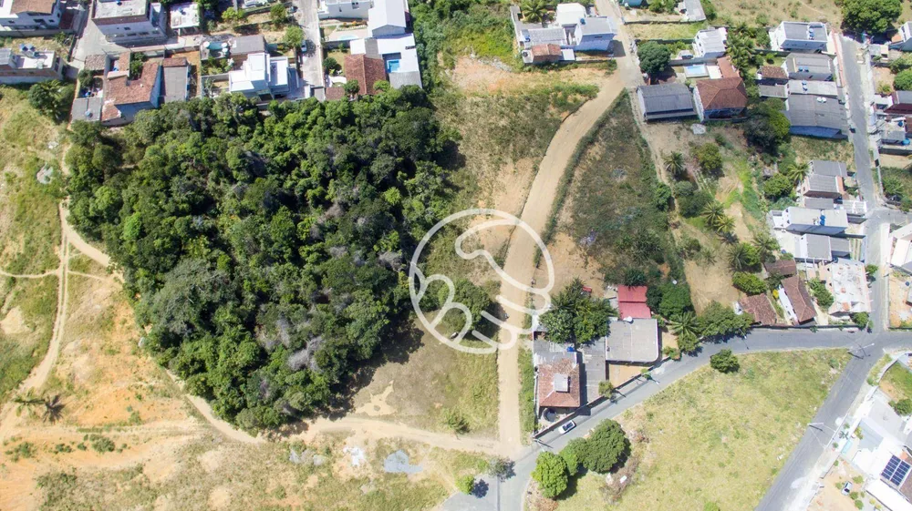 Terreno, 3 hectares - Foto 3