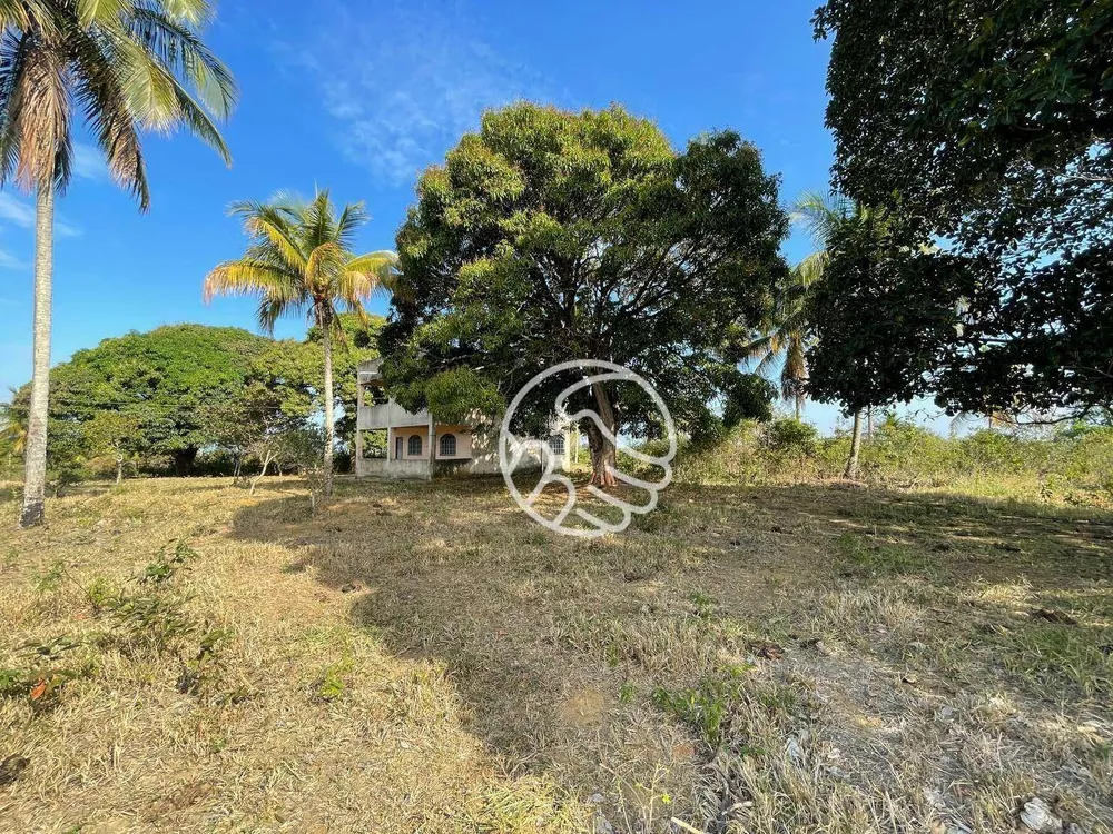 Sítio, 12 hectares - Foto 2