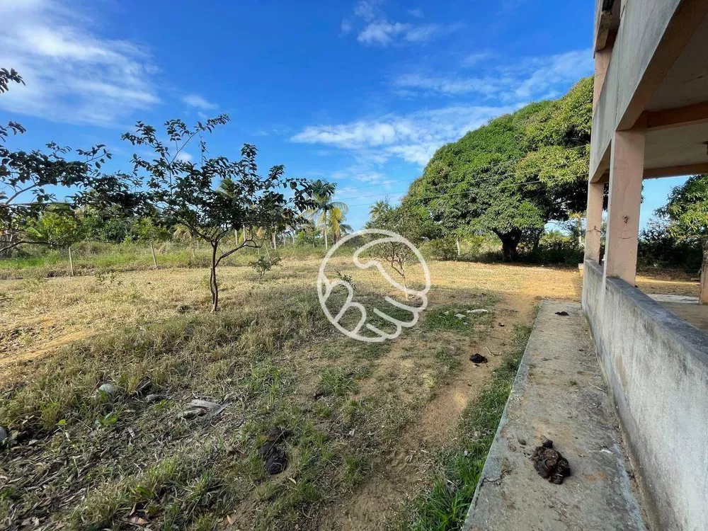 Sítio, 12 hectares - Foto 4