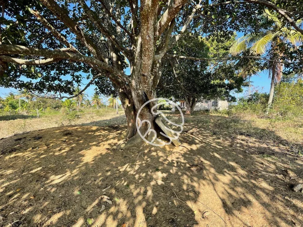 Sítio, 12 hectares - Foto 1