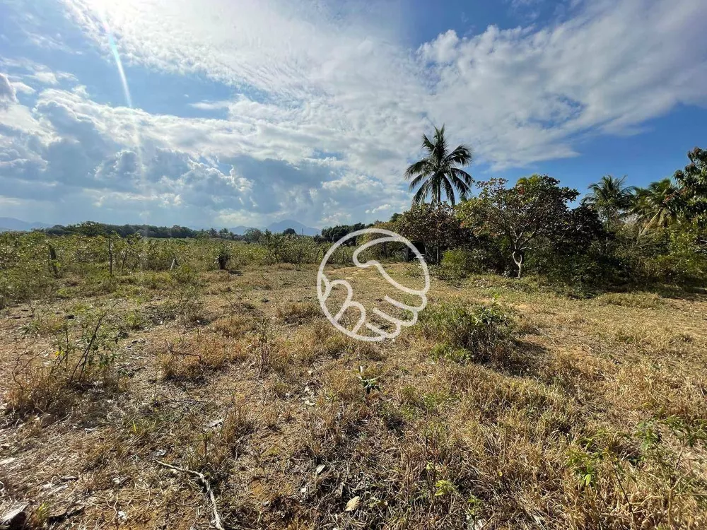 Sítio, 12 hectares - Foto 3