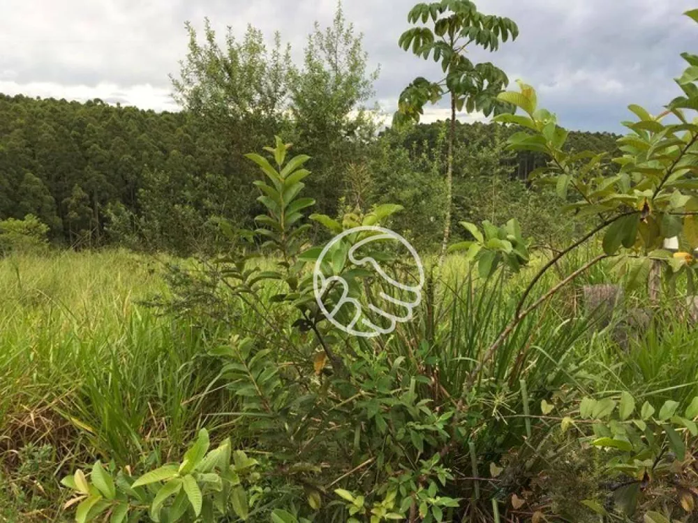 Loteamento e Condomínio, 3200 m² - Foto 4