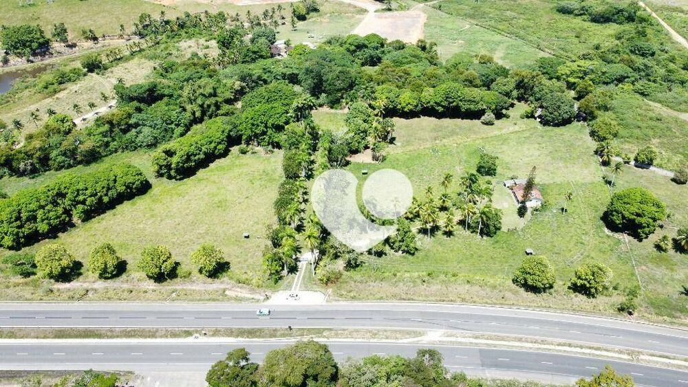 Sítio, 5 hectares - Foto 6