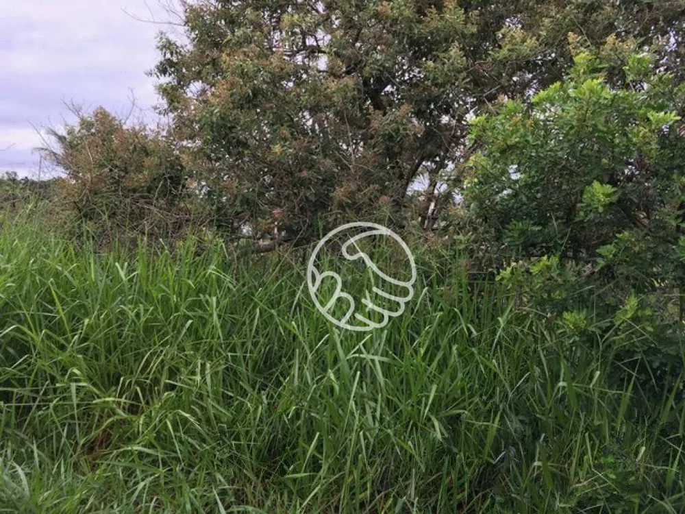 Loteamento e Condomínio, 3200 m² - Foto 2