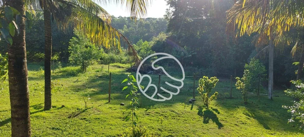 Chácara, 3 quartos, 6000 m² - Foto 3