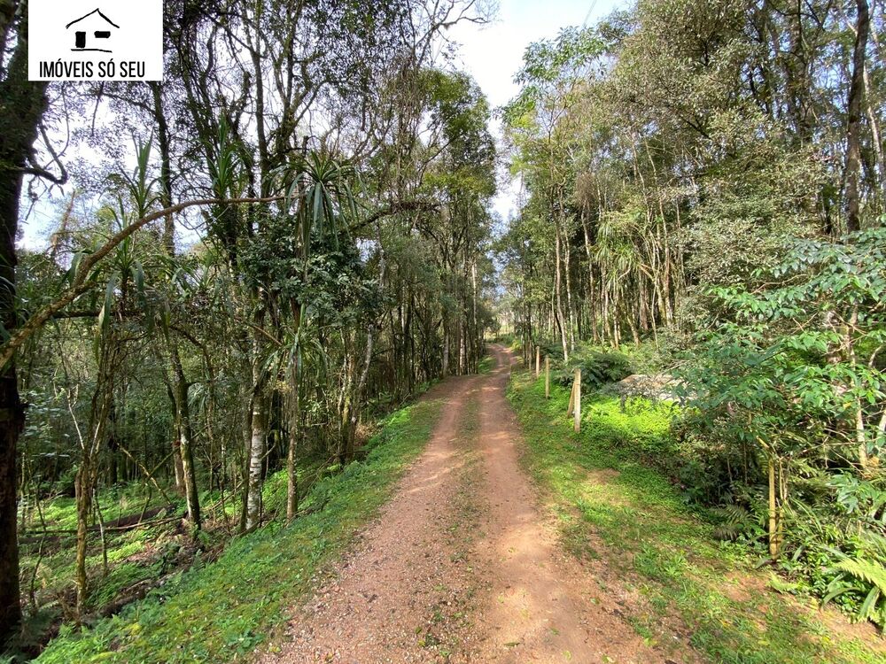 Terreno, 7476 m² - Foto 15