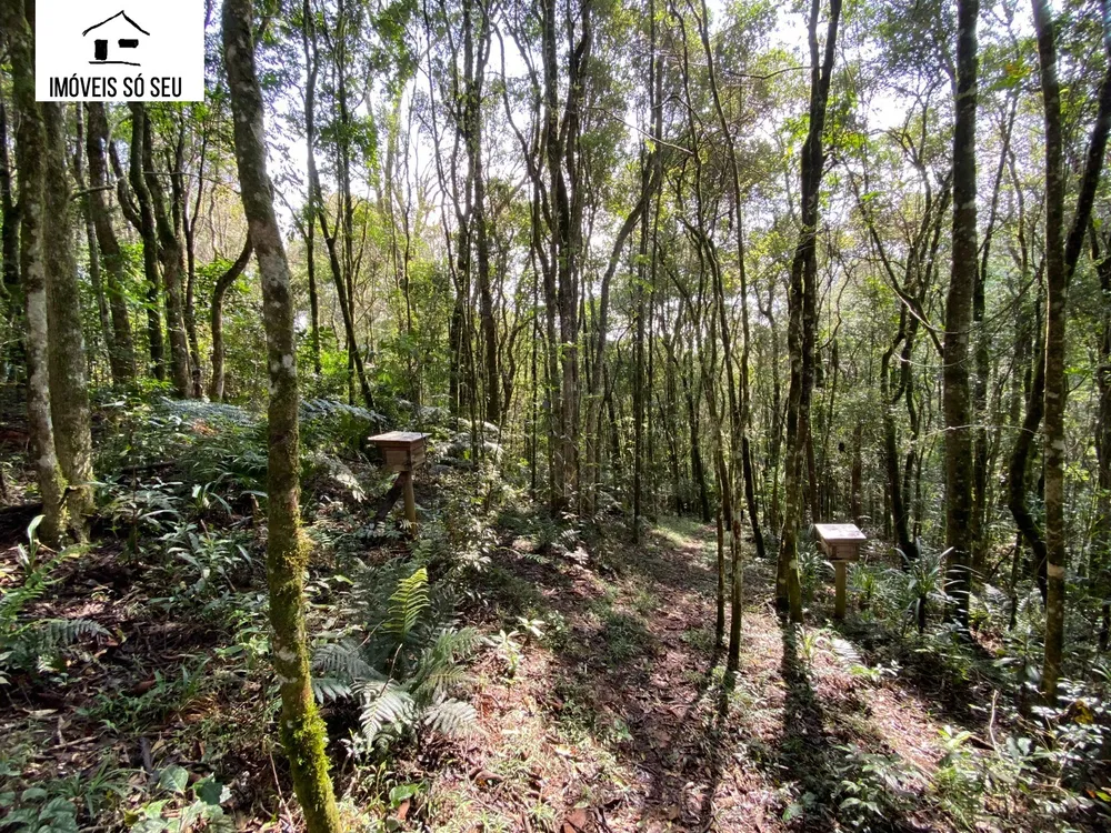Terreno, 7476 m² - Foto 30
