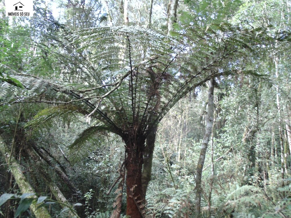 Terreno, 7476 m² - Foto 11