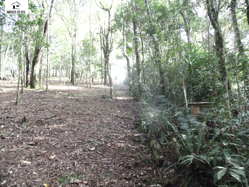 Terreno, 7476 m² - Foto 12