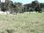 Terreno, 2 hectares - Foto 11