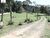 Terreno, 2 hectares - Foto 9