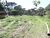 Terreno, 2 hectares - Foto 12