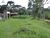 Terreno, 2 hectares - Foto 13