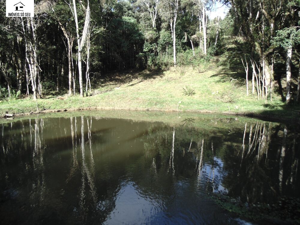 Chácara, 3 quartos, 5941 m² - Foto 3