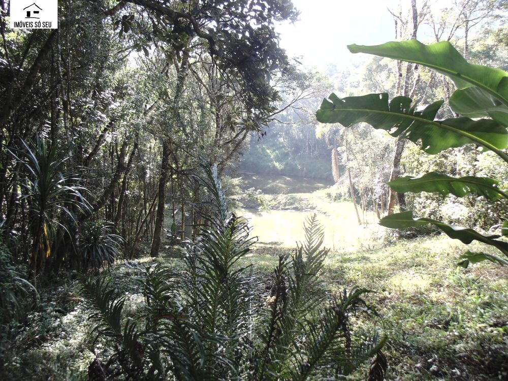 Chácara, 3 quartos, 5941 m² - Foto 5