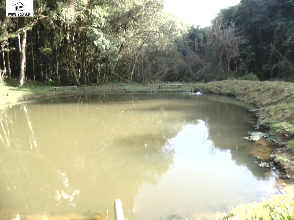 Chácara, 3 quartos, 5941 m² - Foto 2