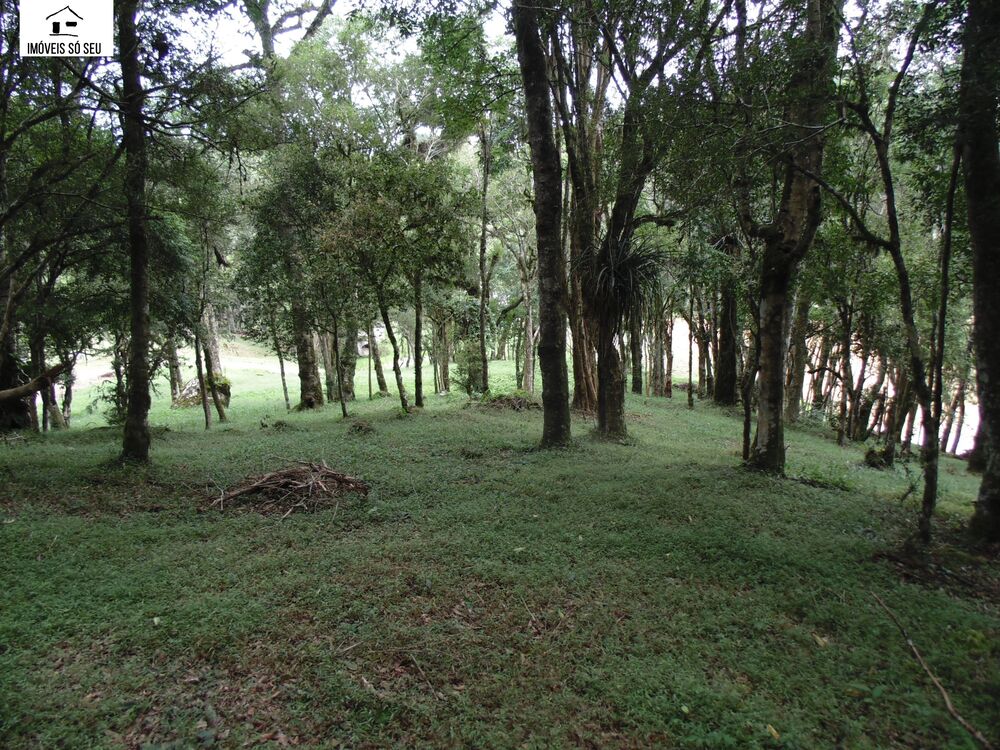 Chácara, 3 quartos, 5941 m² - Foto 15