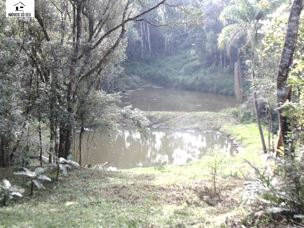 Chácara, 3 quartos, 5941 m² - Foto 1