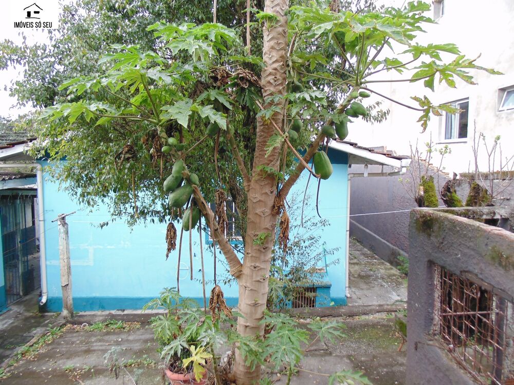 Terreno à venda, 294m² - Foto 4