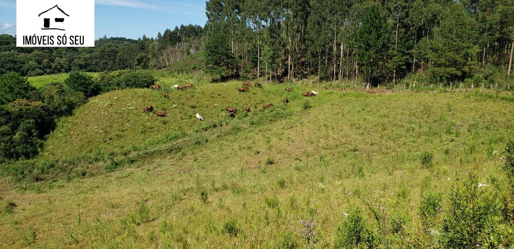 Fazenda à venda, 870000m² - Foto 7
