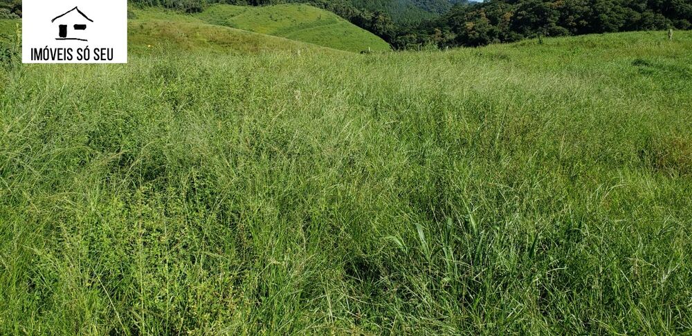 Fazenda à venda, 870000m² - Foto 4
