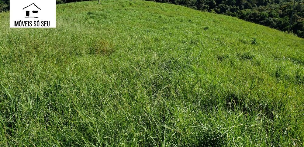 Fazenda à venda, 870000m² - Foto 3