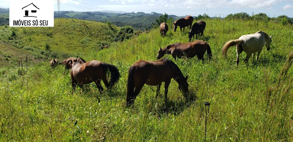 Fazenda à venda, 870000m² - Foto 1