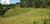 Fazenda-Sítio-Chácara, 87 hectares - Foto 7