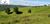 Fazenda-Sítio-Chácara, 87 hectares - Foto 9