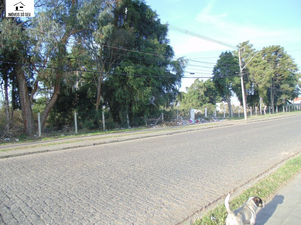 Loteamento e Condomínio, 5 hectares - Foto 4