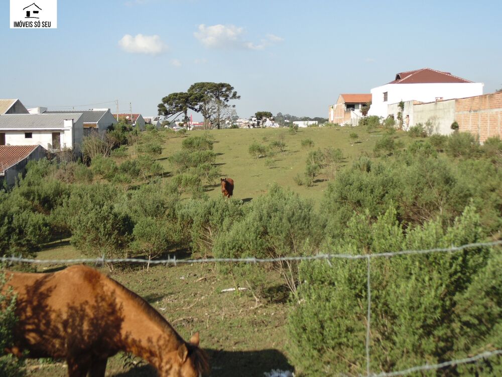 Terreno, 1 hectares - Foto 5